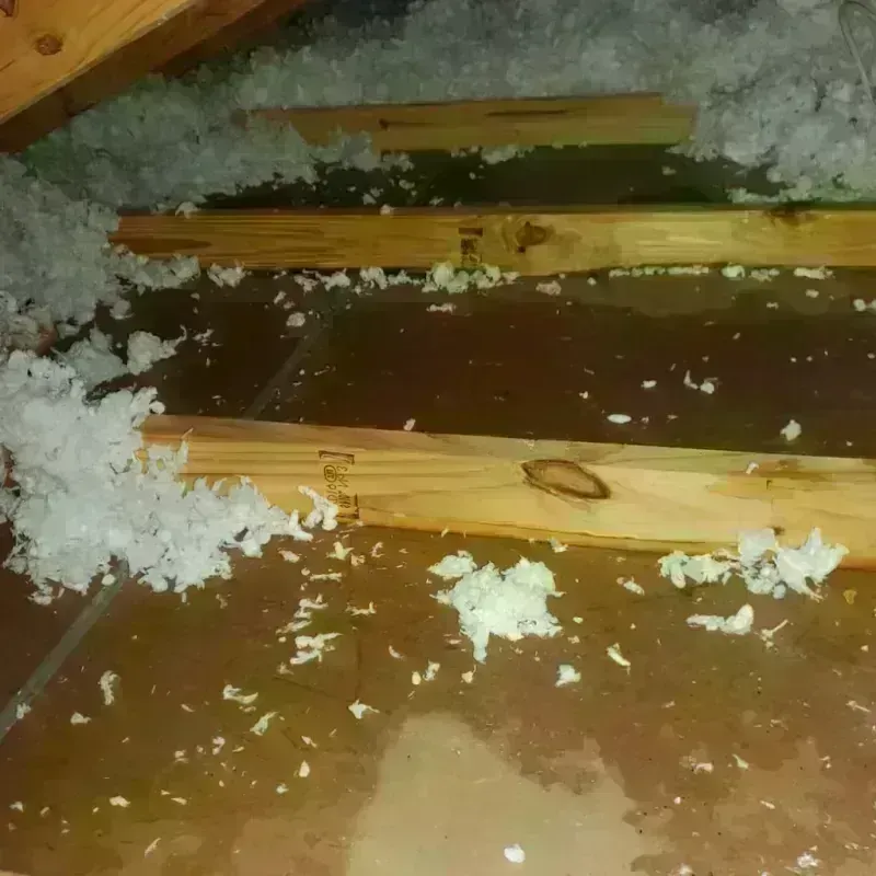 Attic Water Damage in Charleston, MO