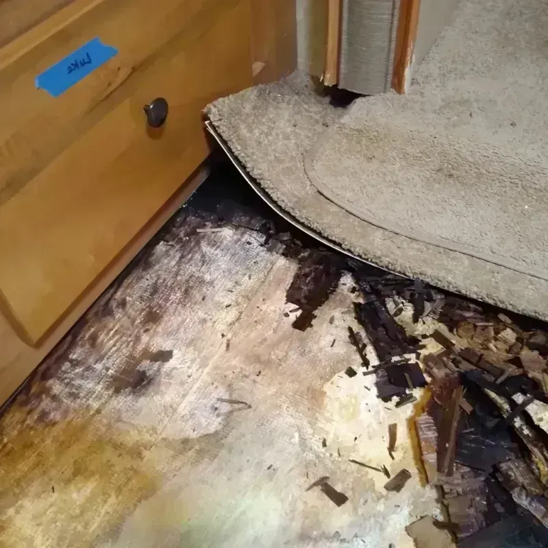 Wood Floor Water Damage in Charleston, MO